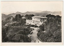 Portofino vetta genova usato  Isola Vicentina