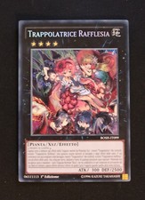 Carta trappolatrice rafflesia usato  Zibido San Giacomo