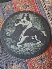 Border collie dog for sale  CHEADLE