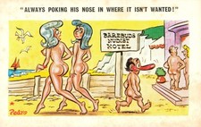 Barebuds nudist hotel for sale  UK