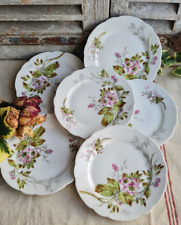 Anciennes assiettes plates d'occasion  Le Poinçonnet