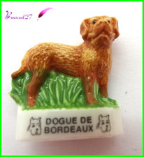Feve races chien d'occasion  Pacy-sur-Eure