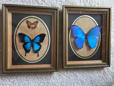 Vintage retro butterfly for sale  LEWES