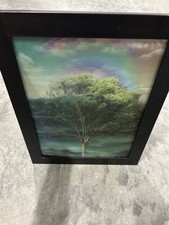 Four seasons tree for sale  Greensburg