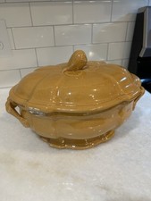 Beautiful french pichon for sale  Grantville