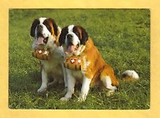 Cartolina cani san usato  Crema