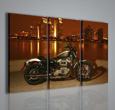 Quadri moderni harley usato  Italia