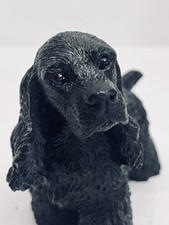 Black cocker spaniel for sale  Sacramento