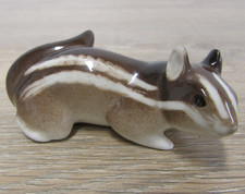chipmunk for sale chipmunk for sale COLCHESTER