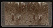 Photo hop trailing for sale  USA