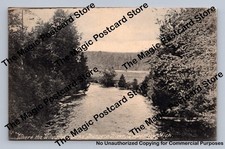Sturgeon river wild for sale  USA