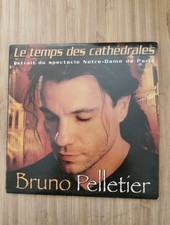 Temps cathédrales bruno d'occasion Temps cathédrales bruno d'occasion  Joinville