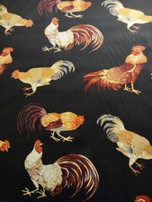 Kingsway rooster chicken for sale Kingsway rooster chicken for sale  Aberdeen