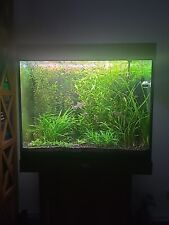 Rio lido 200 gebraucht kaufen  Braunschweig