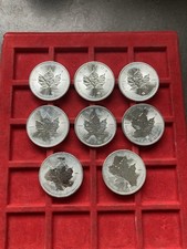 1oz maple leaf gebraucht kaufen  Neumarkt i.d.OPf.