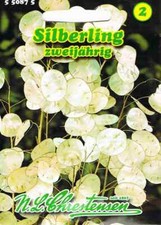 Silberling trockenblume zweij� gebraucht kaufen  Kamenz
