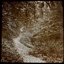 Magic lantern slide for sale  HAYLE