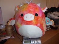 Extra large size for sale  NORTHAMPTON