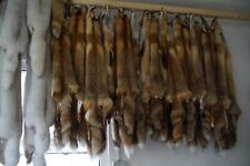 Fuchsfell fuchsfelle fell gebraucht kaufen  Parchim-Umland I