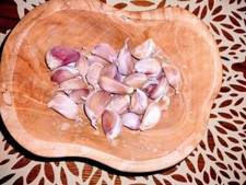 Cloves organic garlic for sale  Spokane