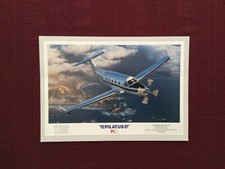 Pilatus brochure 1991 for sale  Mesa