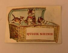 Cat kittens basket for sale  San Juan Capistrano
