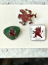 Dragon rally badges for sale  BRIDPORT