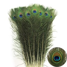 24pcs peacock feathers for sale  Mount Jackson