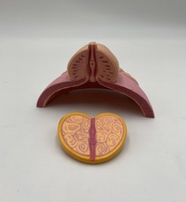 Male prostate bladder d'occasion  Expédié en Belgium
