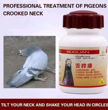 Racing pigeon crooked for sale  DOWNPATRICK