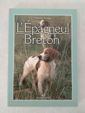Epagneul breton massimo usato  Cervia