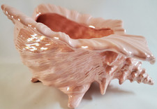Pink conch glazed for sale  Kenton