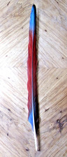 Greenwing macaw tail for sale  Lexington