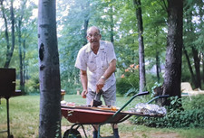 old wheelbarrow for sale  Duluth