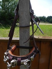 Triumph leather lunge for sale  LONGHOPE