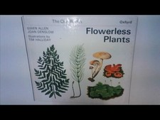 Flowerless plants gwen for sale  UK