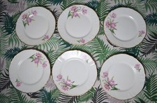 S5812 set piatti usato  Montecatini Terme