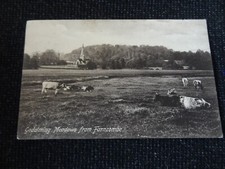 Godalming meadows farncombe for sale  ANSTRUTHER