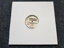 12" LP Vinyl Whitney Houston - It's not right but it's okay US PROMO Thunderpuss, usado comprar usado  Enviando para Brazil