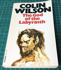 God labyrinth paperback for sale  ULVERSTON