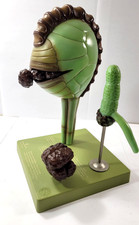 Somso wurmfarn sporenbildung gebraucht kaufen Somso wurmfarn sporenbildung gebraucht kaufen  Göttingen