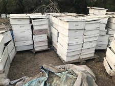 Refurbished frame bee for sale  Edcouch