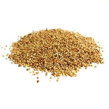 Mixed budgie seed for sale  HULL