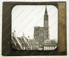 Cattedrale strasburgo 1890c usato  Cremona