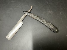 German fancy straight for sale  Belchertown