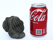 Furled moroccan fossil for sale  WINCHESTER