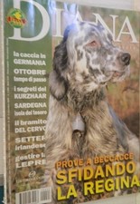 Diana 2000 caccia usato  Salerno