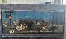 200l fish tank for sale  LONDON