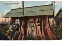 big stump for sale big stump for sale Pinetop