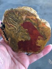 Rare morrisonite porcelain for sale  Cleveland